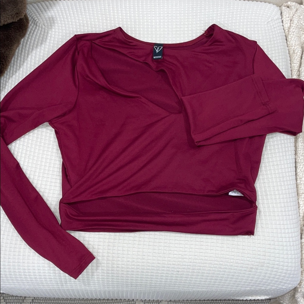 Windsor Wine Long-Sleeve V-Neck Top